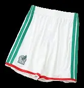 2026 Mexico Player Version Shorts