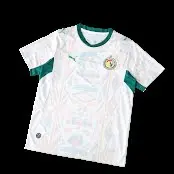 2026 Senegal Fan Version Jersey
