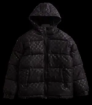 Louis Vuitton Puffer Jacket