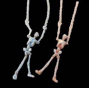 Viviene Westwood Necklaces