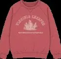Raf Simons Virginia Creeper Sweater
