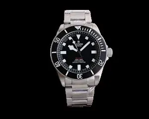 Tudor Watch