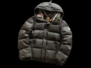 Burberry down jacket