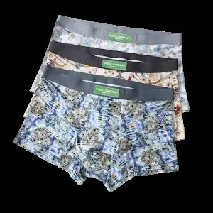 Dolce & Gabbana Underwear
