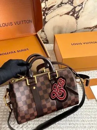 LV Louis Vuitton Bag