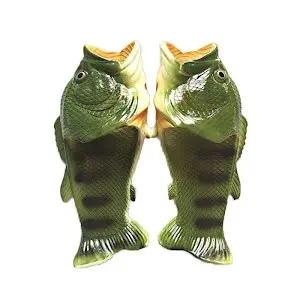 Fish Slides