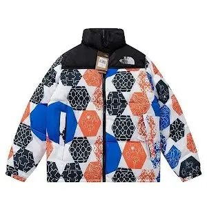 The North Face Budget 1996 Retro Puffer Jacket