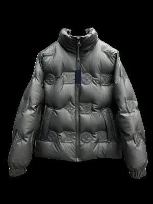 Louis Vuitton Down jacket