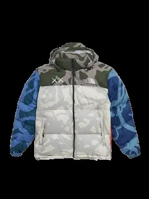 The North Face down jacket
